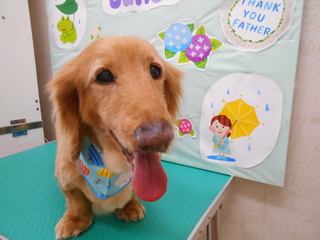 20.6.2宮原　チャチャ.JPG