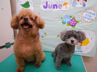 20.6.6むぎ＆あんず.JPG