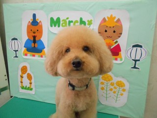 21.3.17町田　チャッピー.JPG