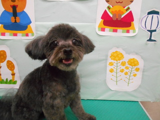 21.3.22大野　チョコ.JPG